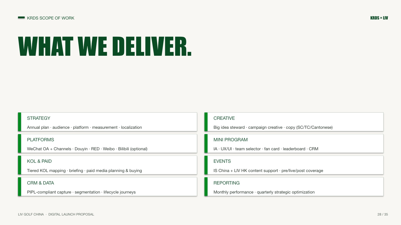 Strategy, platform, creative, media, and team deliverables