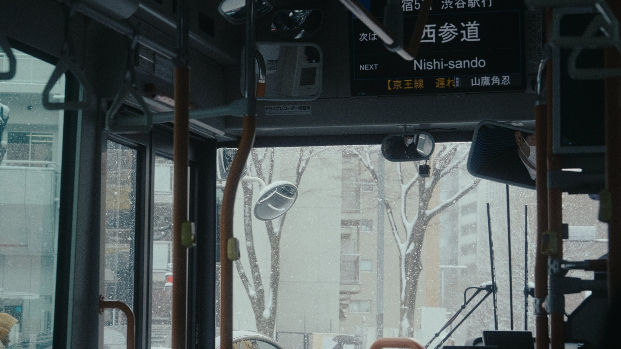 Shiro, image 7