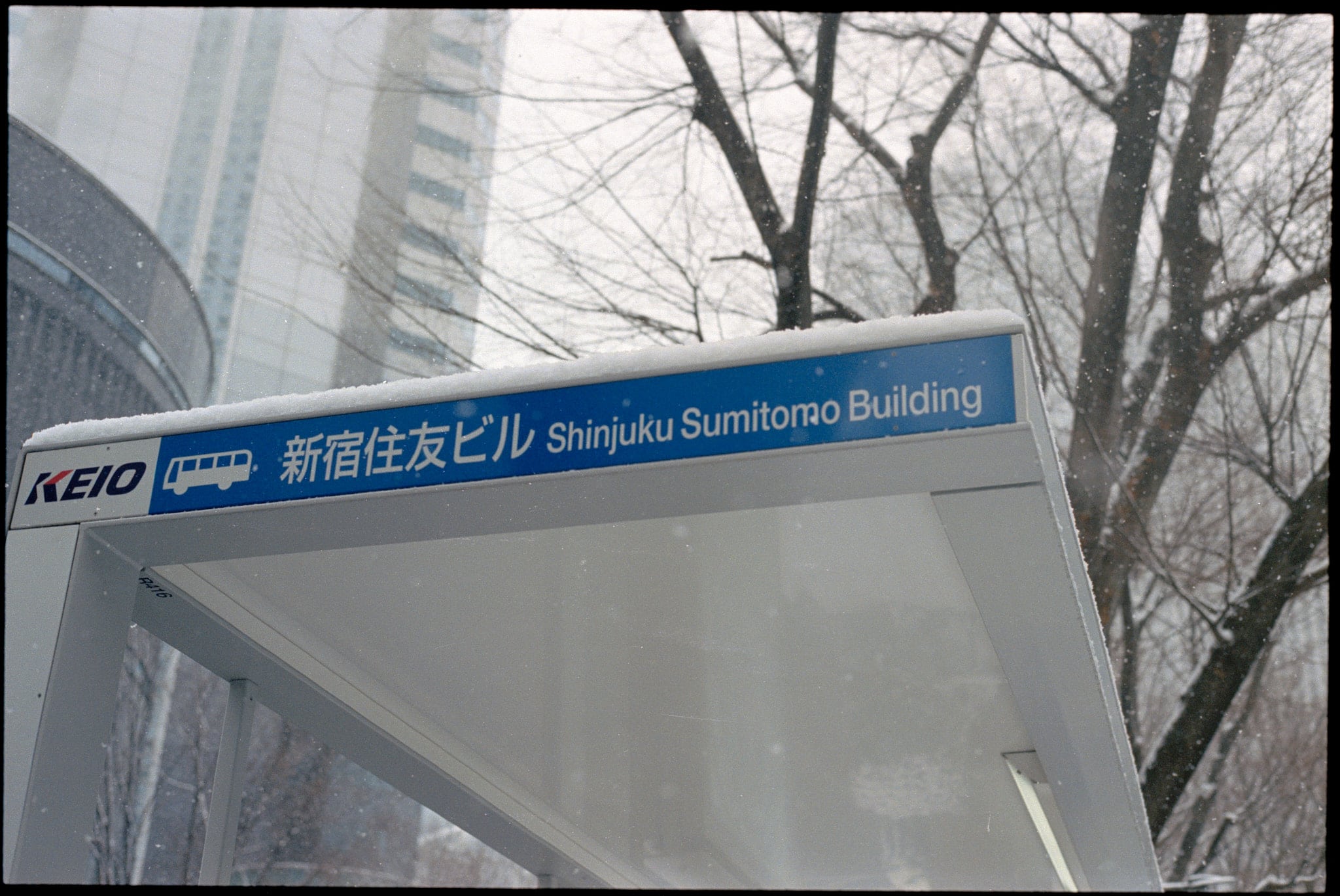 Shiro, image 9