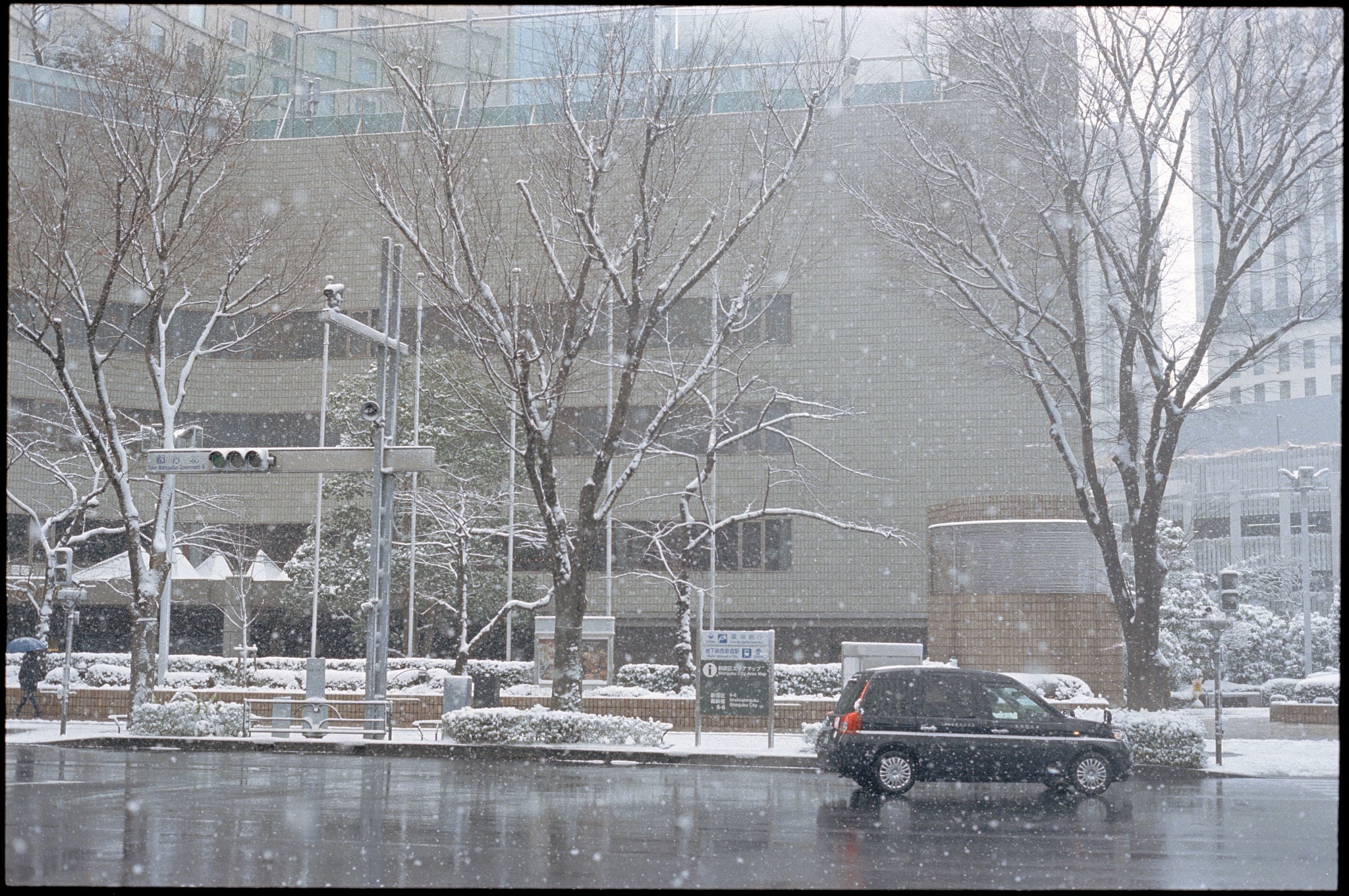 Shiro, image 11